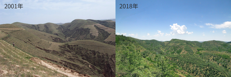 2d6aaa5e01fc4abbd8b0b585b591c44