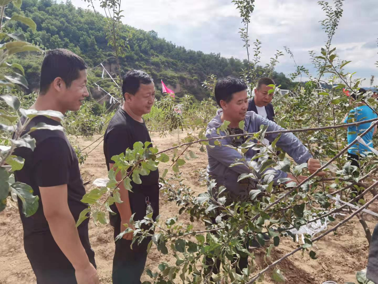 图片1.png 图片1.png