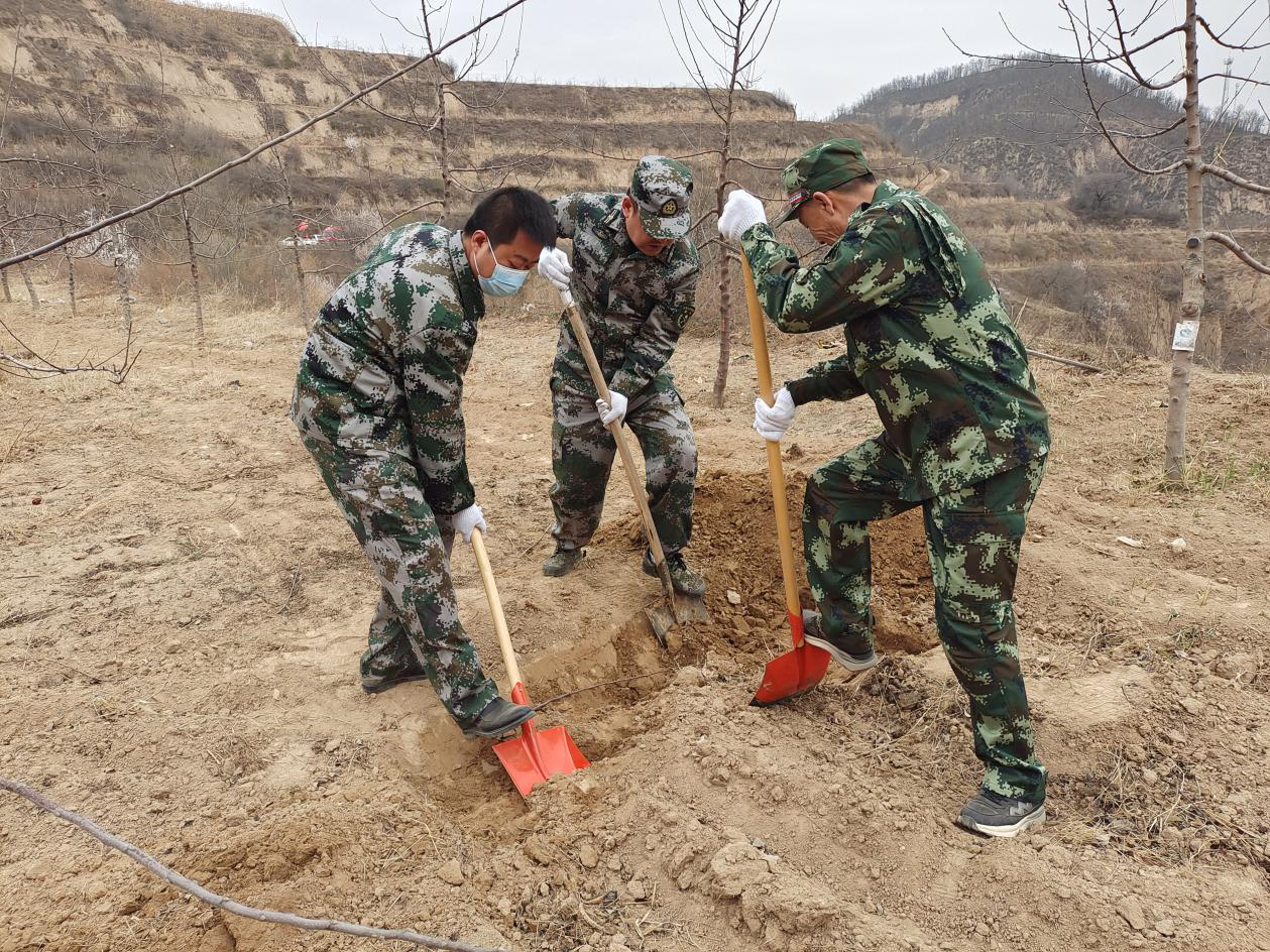 图片4.png 图片4.png