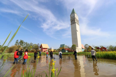 QQ截图20220427164149.png QQ截图20220427164149.png