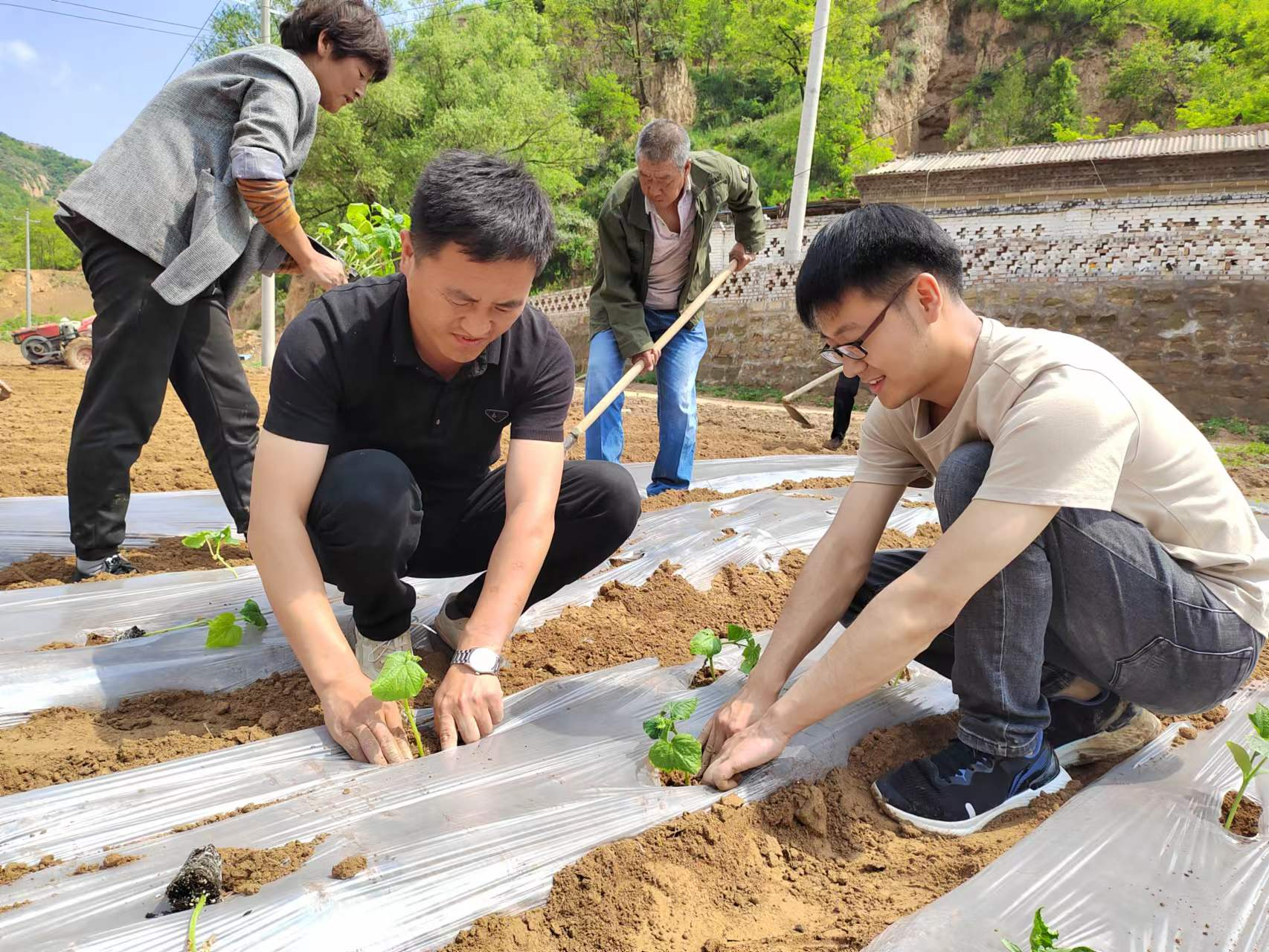 图片3.png 图片3.png