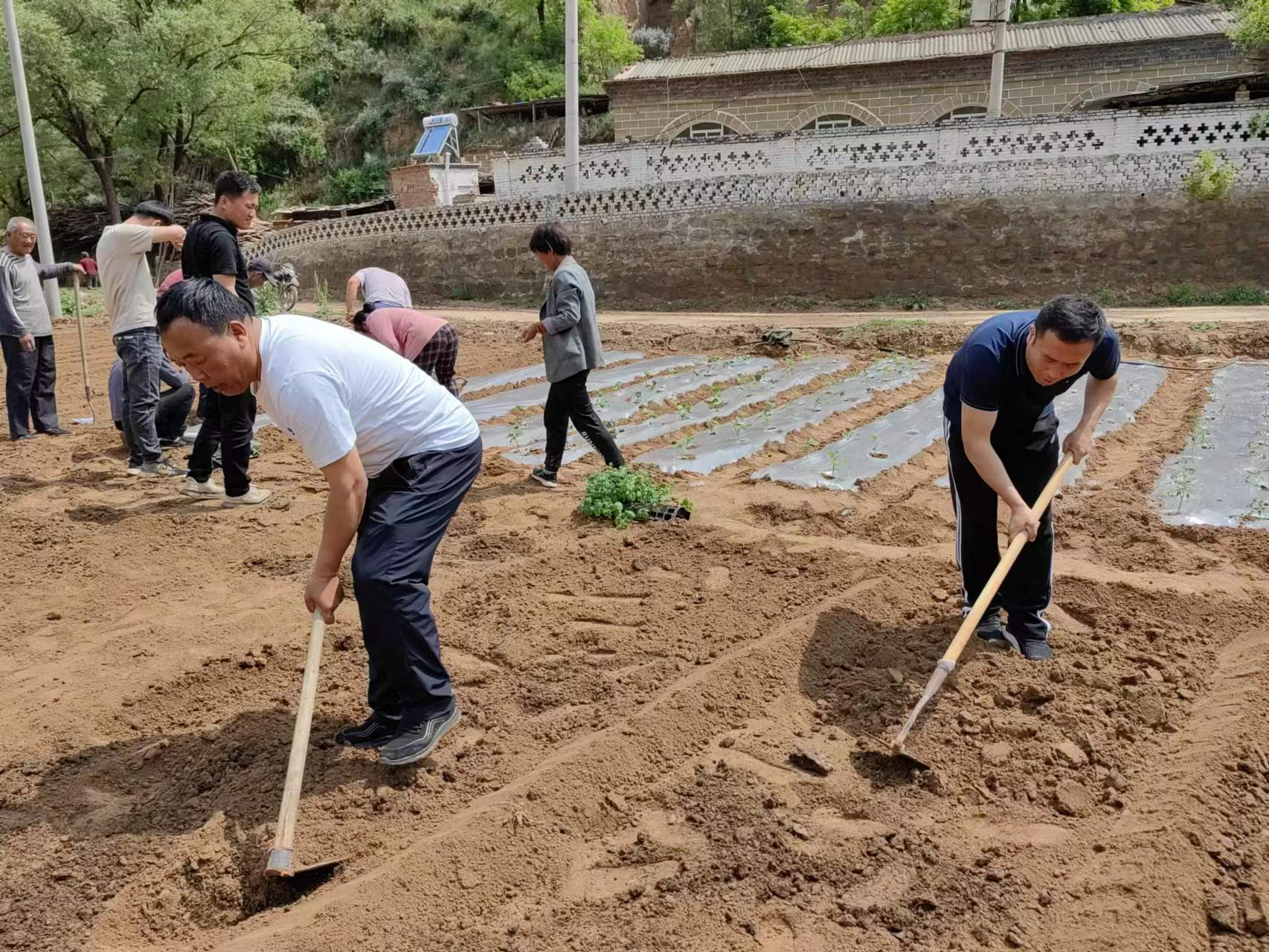 图片5.png 图片5.png