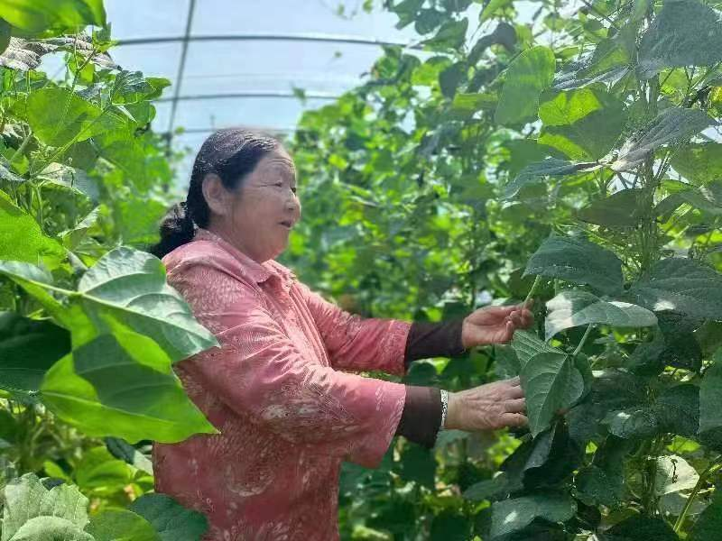 图片2.png 图片2.png