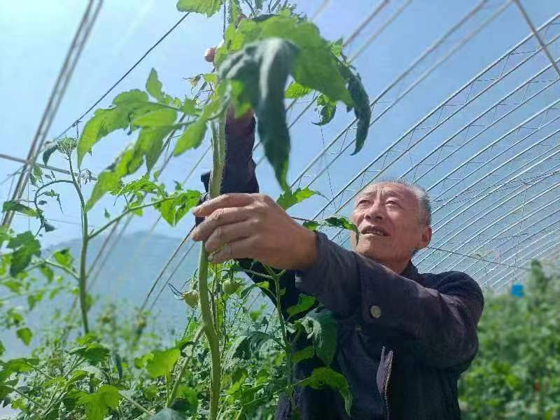 图片1.png 图片1.png