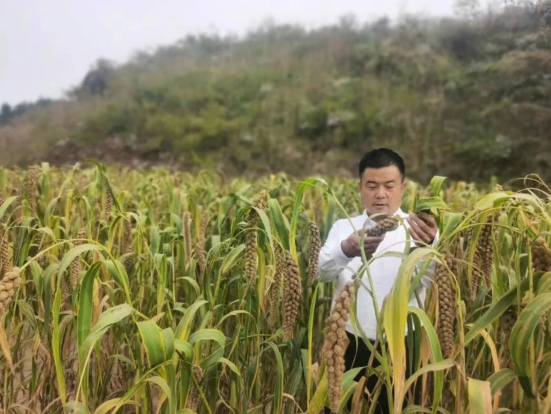 QQ截图20221123144327.png