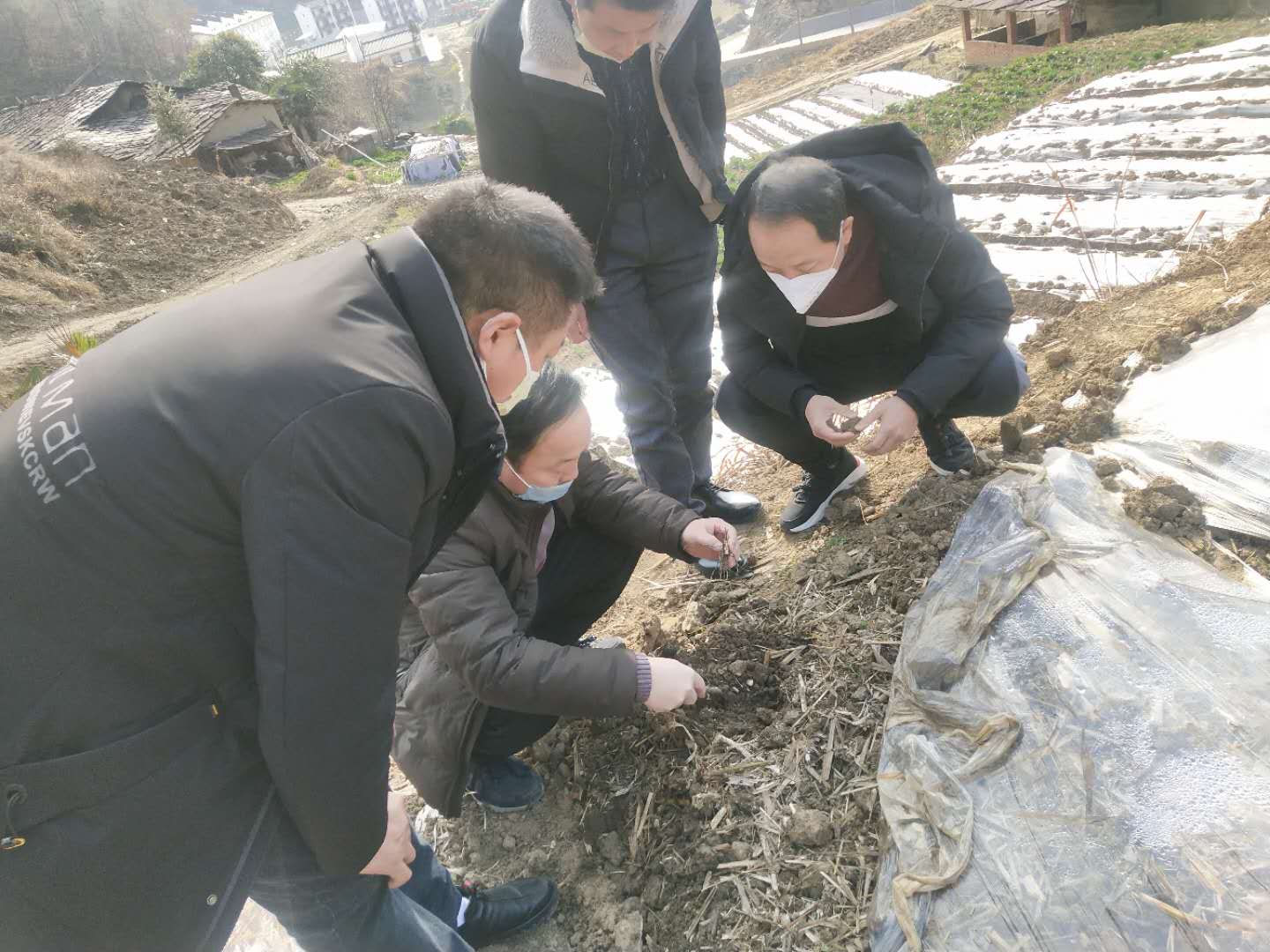 6.驻村第一书记张峰实地讲述地膜农作物种植要领.jpg
