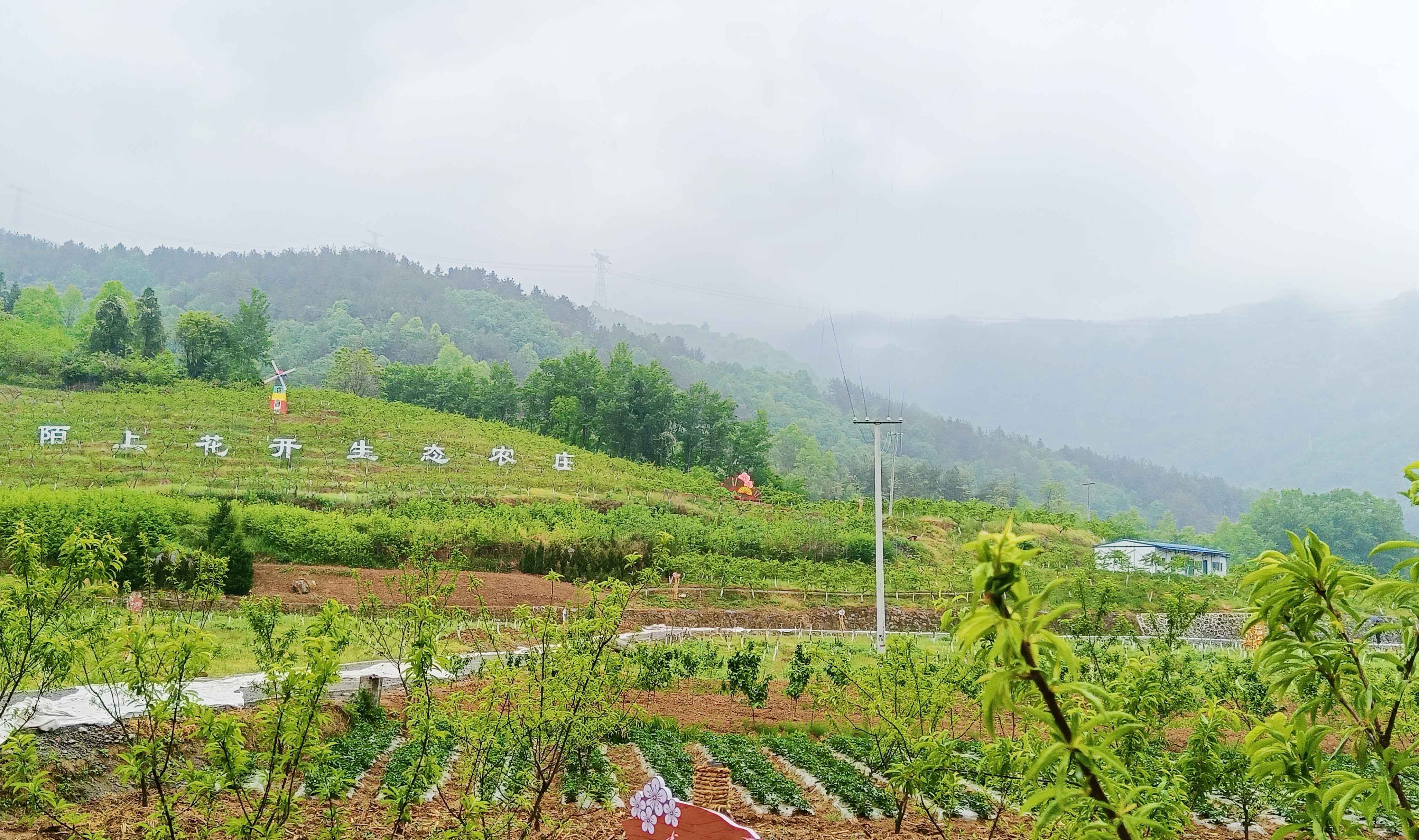 陌上花开生态农庄一角  吴彦峰摄 (2).jpg