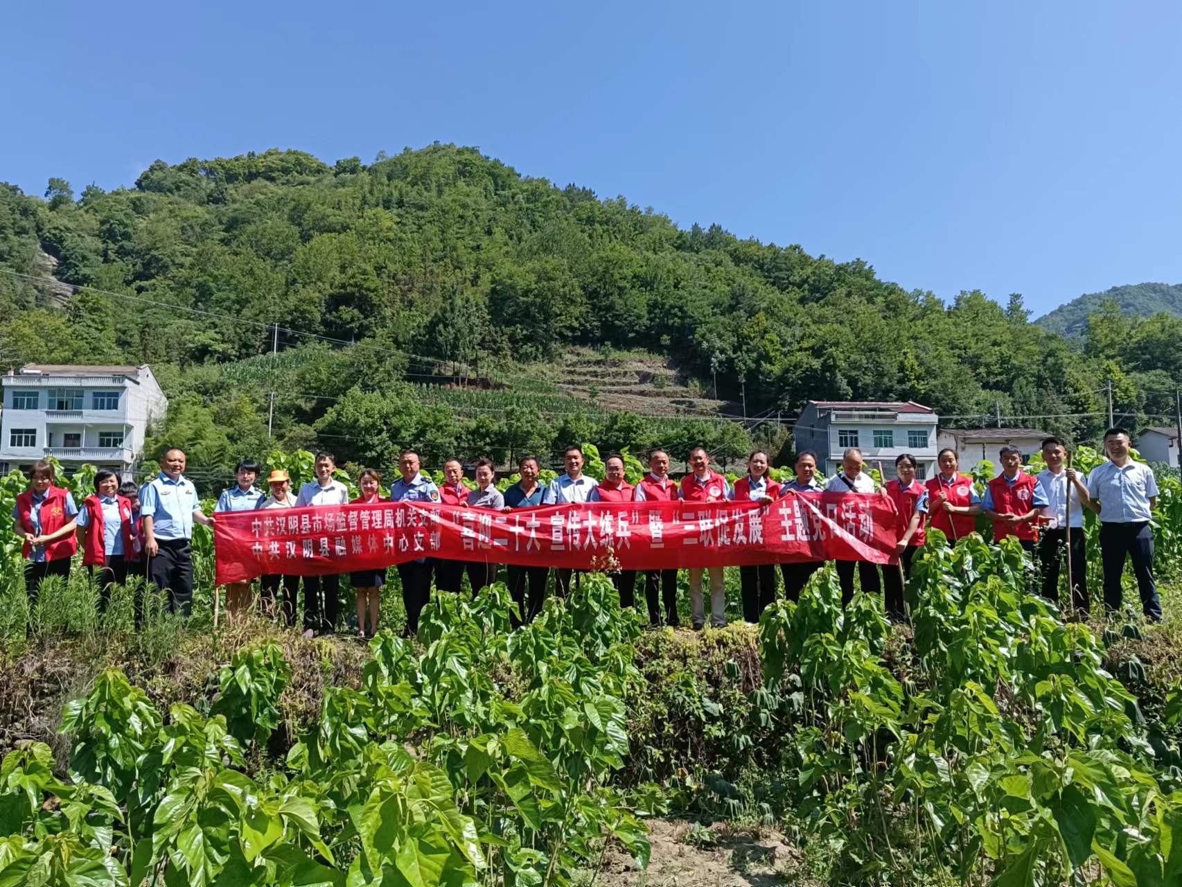 6月24日，汉阴县市场监管系统、汉阴县融媒体中心党员干部到高峰村桑园基地参加桑园套种大豆劳动，开展“喜迎二十大宣传大练兵”暨“三联促发展”“重温红色党史喜迎二十大”主题党日活动.jpg