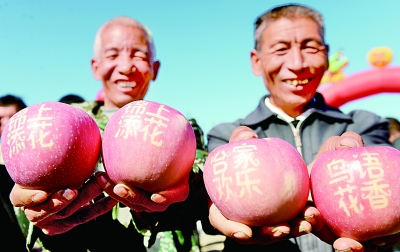 739024_luhui_1587717670044_b.jpg