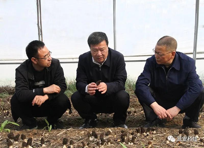 微信图片_20200408161856.jpg