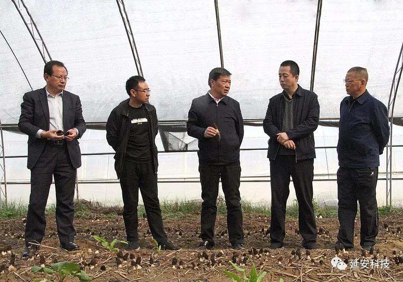 微信图片_20200408161848.jpg