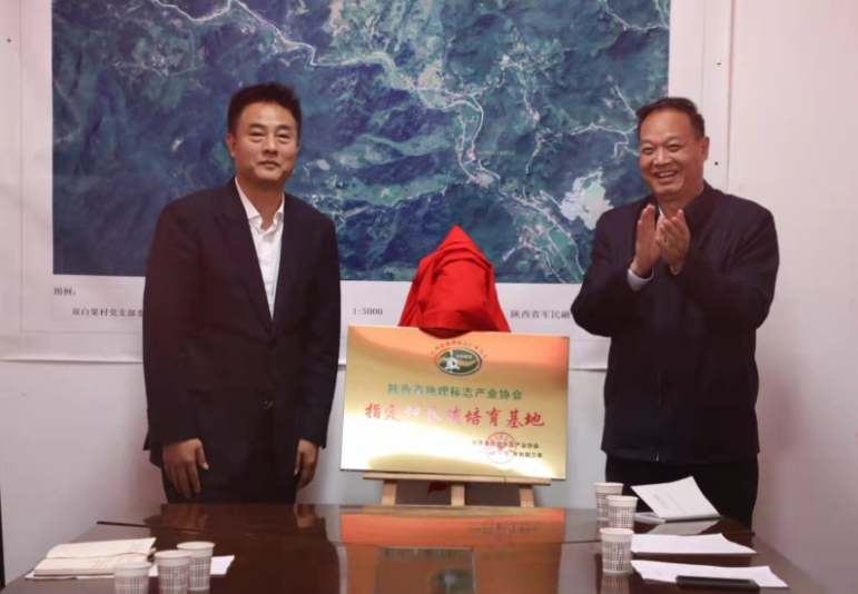 QQ截图20211018150852.png