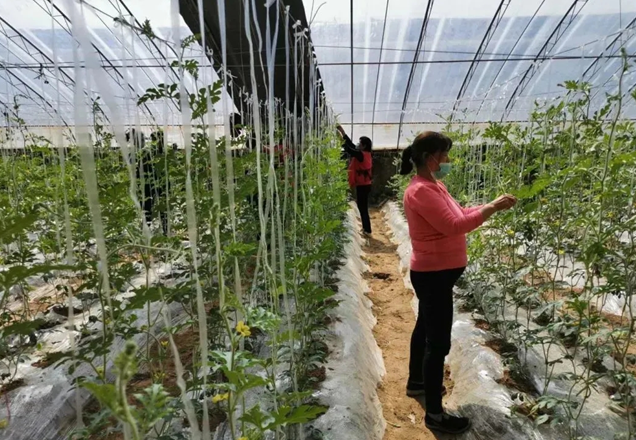 QQ截图20200413094623.png