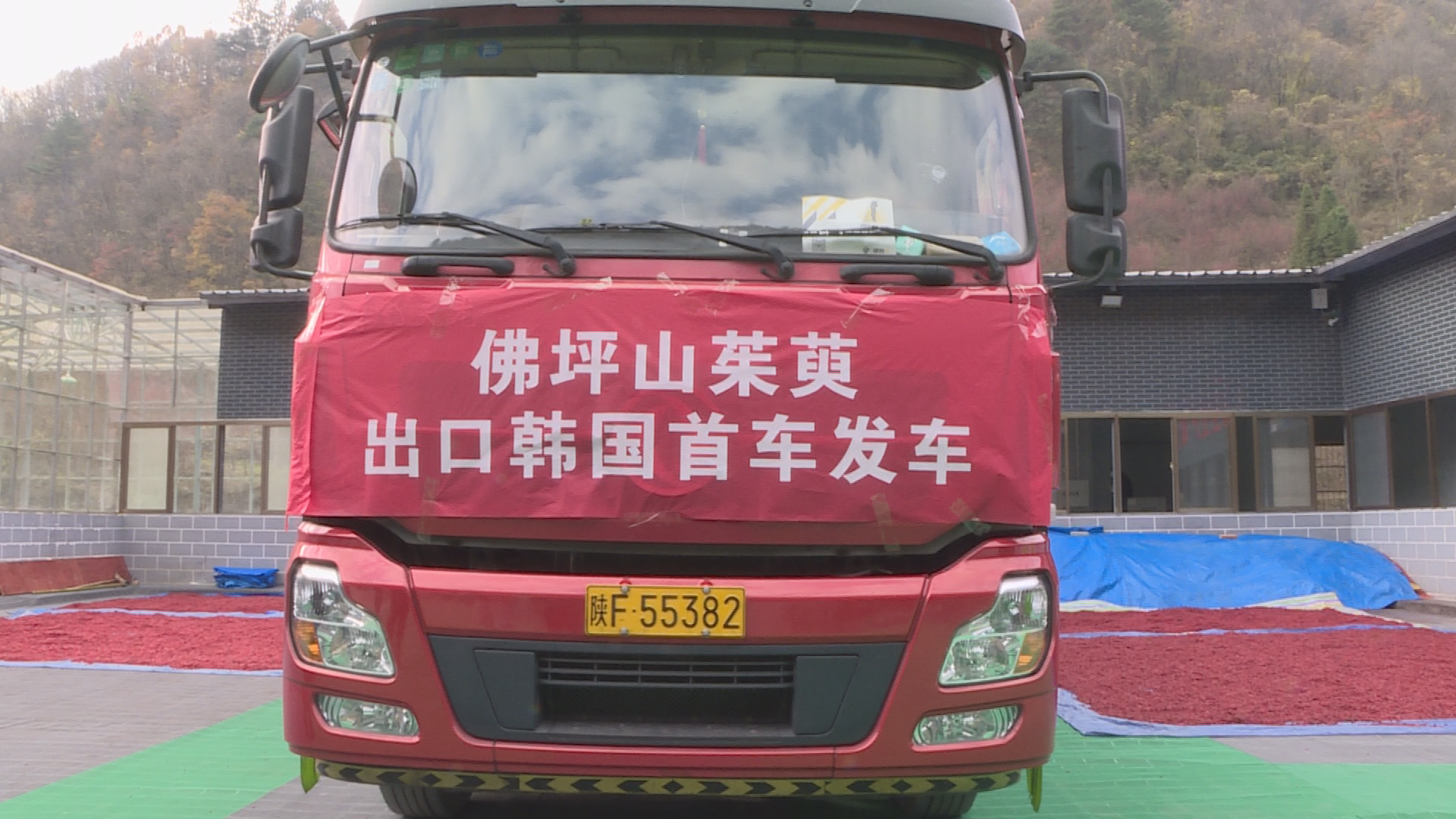 首车发往韩国的山茱萸准备发车.bmp