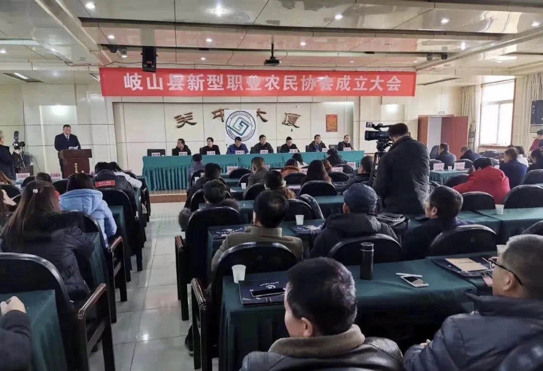 参考图片5.jpg