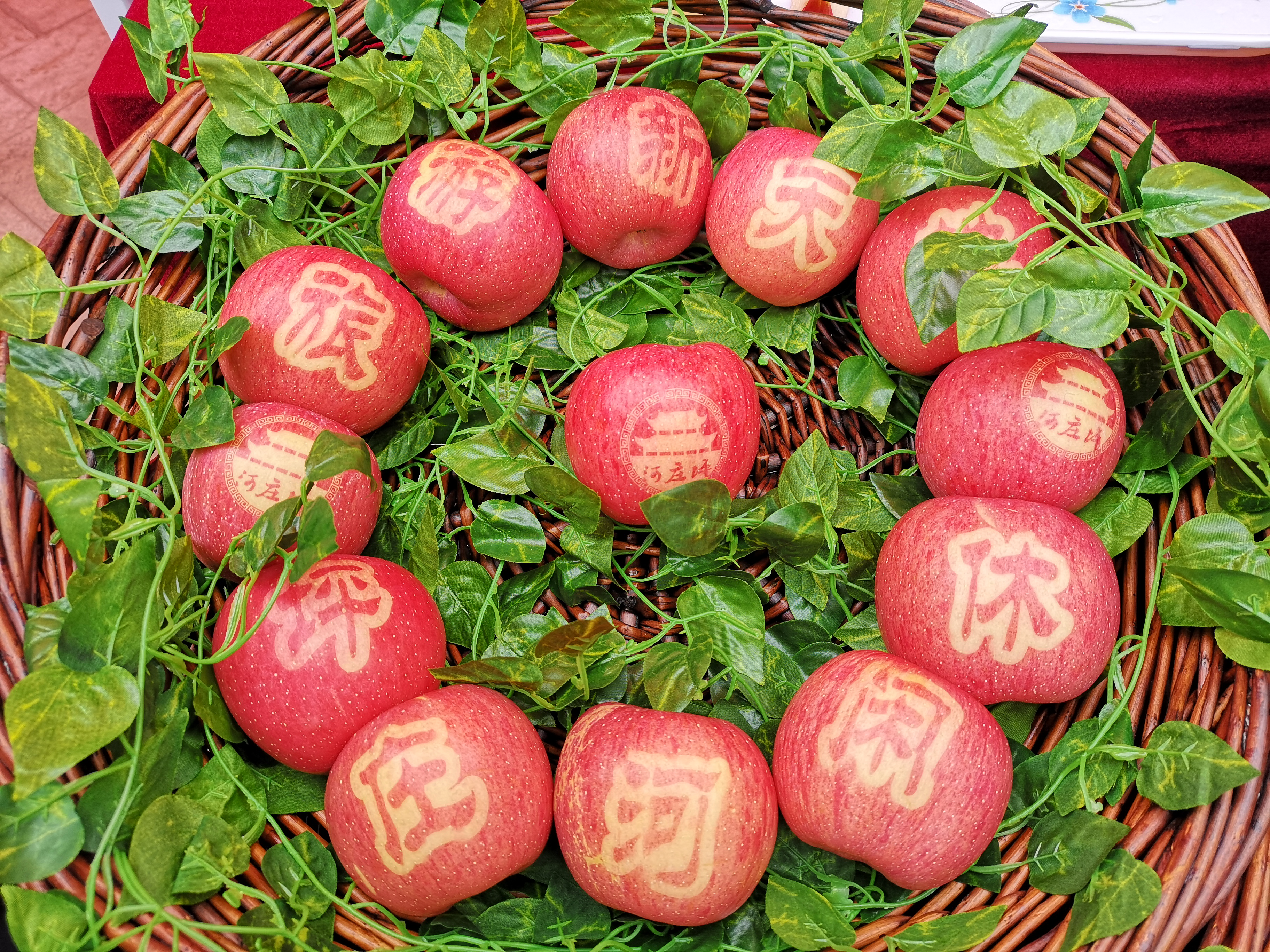 图片5.png