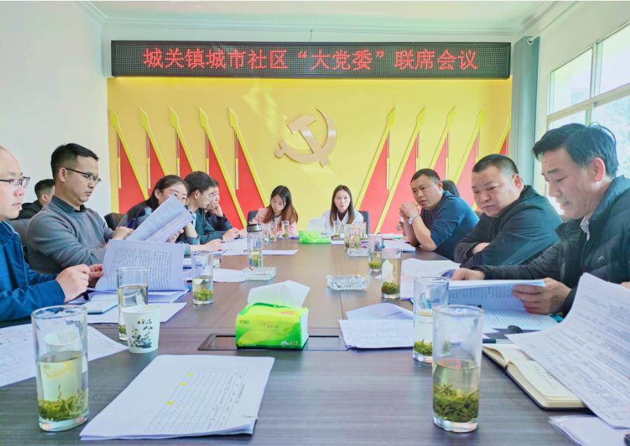 指导组与城关镇召开联席会议.jpg