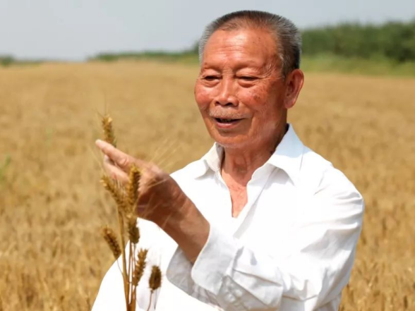 WPS图片(1).png