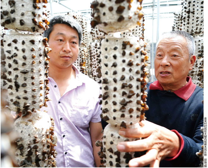 QQ截图20230420103720.png QQ截图20230420103720.png