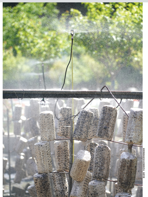 QQ截图20230420103644.png QQ截图20230420103644.png