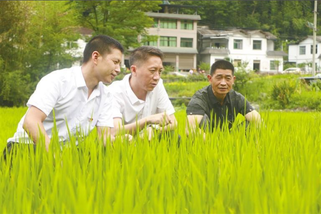 QQ截图20230901085632.png