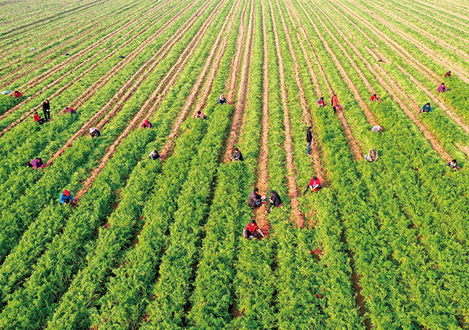 第27页-10(1).jpg 第27页-10(1).jpg