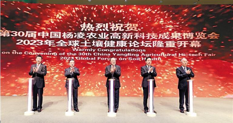 QQ截图20230920082518.jpg