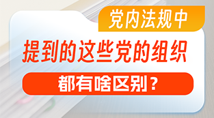 党内法规中提到的这些党的组织，都有啥区别？