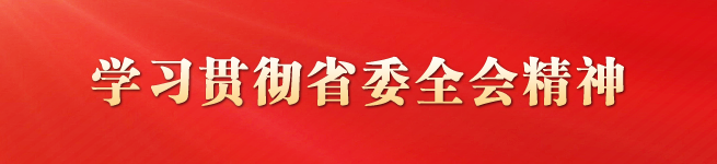 学习贯彻省委全会精神