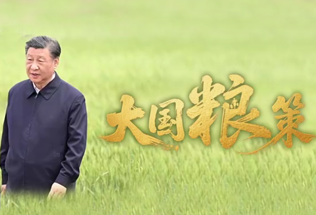 大国粮策