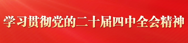 学习贯彻党的二十届四中全会精神