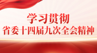 学习贯彻省委十四届九次全会精神