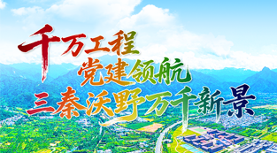 千万工程  |  党建领航 三秦沃野万千新景
